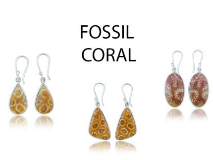 FOSSIL CORAL